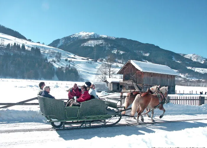 Alpinresort 11 By Interhome Lejlighed Kaprun